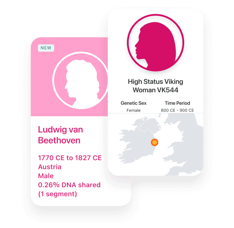 Historical Matches preview