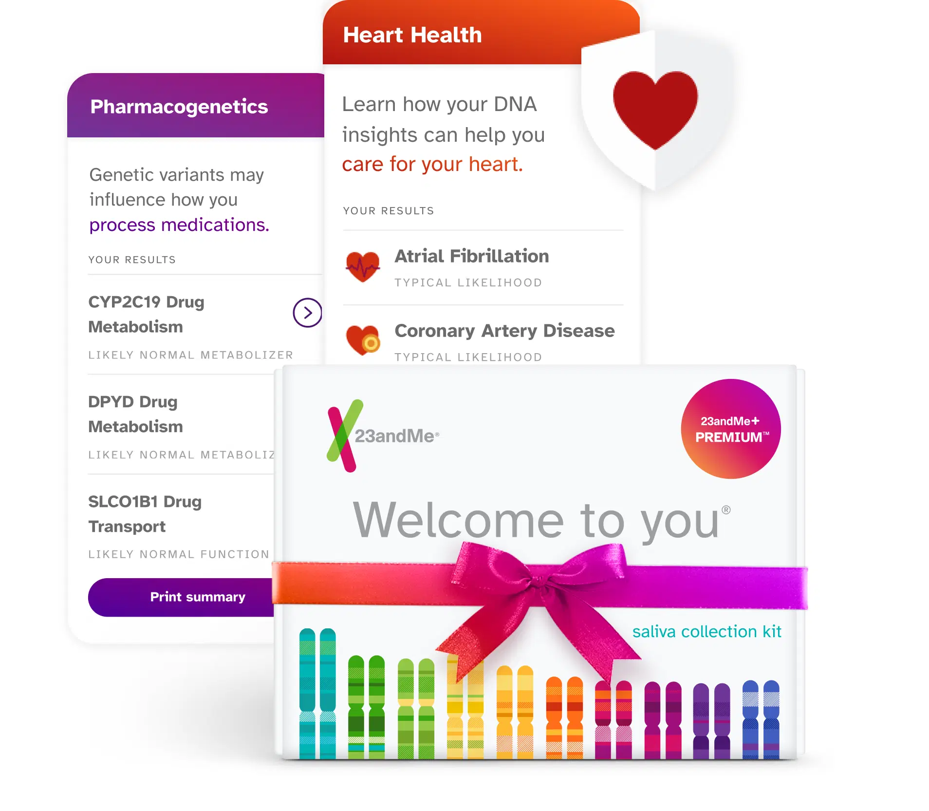23andMe plus Premium saliva collection Kit with example reports Pharmacogenetics and Heart Health. Pharmacogenetics report displays genetic variants that may influence how you process medications. Example results include: CYP2C19 Drug Metabolism likely normal metabolizer, DPYD Drug Metabolism likely normal metabolizer, and SLCO1B1 Drug Transport likely normal function. Heart Health report displays how your DNA insights can help you care for your heart. Example results include: Atrial Fibrillation typical likelihood, Coronary Artery Disease typical likelihood.