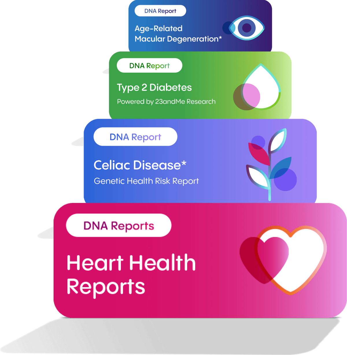 Health + Ancestry Kits come with a variety of DNA reports including Heart Health Reports, Celiac Disease* (Genetic Health Risk Report), Type 2 Diabetes (Powered by 23andMe Research) and Age-Related Macular Degeneration.*