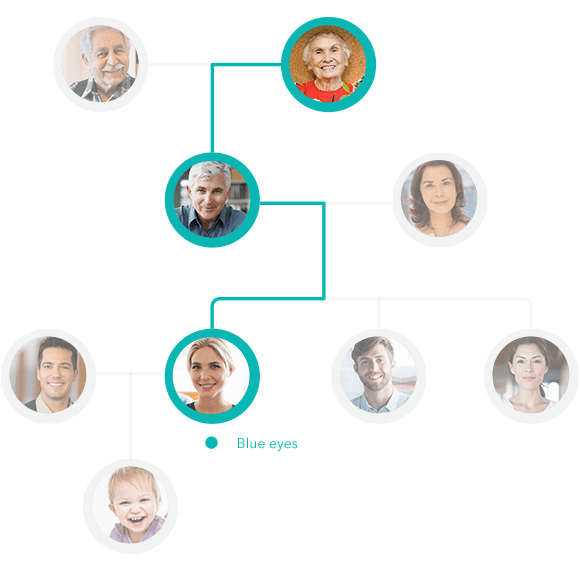 dna inheritance family tree