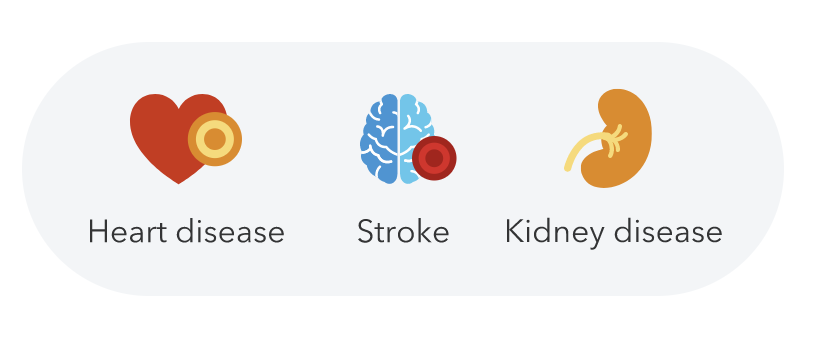 Icons labeled heart disease, stroke and kidney disease. 